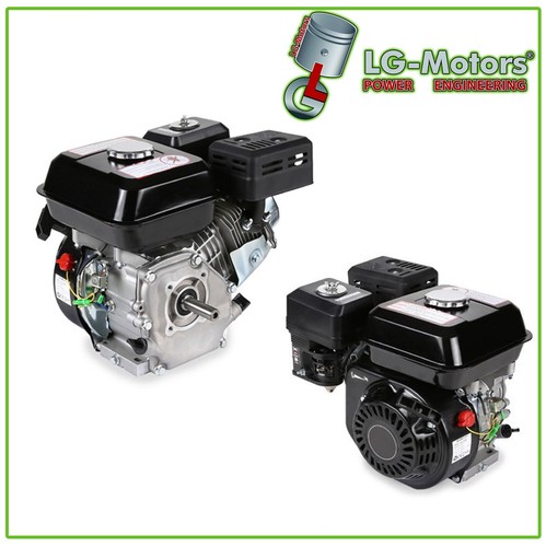 Motore cv hp 196cc - 4t,